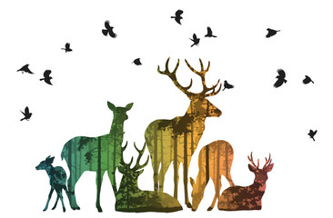 herd of deer with birds