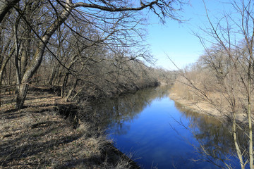 river in spring forest