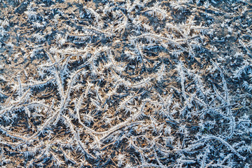 drawings on the ground and texture