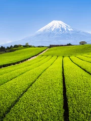 Papier Peint photo autocollant Mont Fuji Mont Fuji et champs de thé vert à Shizuoka, Japon