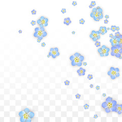 Vector Realistic Blue Flowers Falling on Transparent Background.  Spring Romantic Flowers Illustration. Flying Petals. Sakura Spa Design. Blossom Confetti. Design Elements for Wedding Decoration.