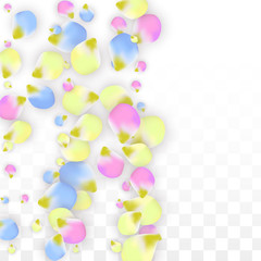 Vector Realistic Colorful Petals Falling on Transparent Background.  Spring Romantic Flowers Illustration. Flying Petals. Sakura Spa Design. Blossom Confetti. Design Elements for Wedding Decoration.