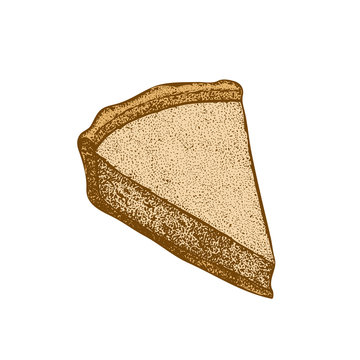 Colored Cheesecake on White Background in Hand-Drawn Style