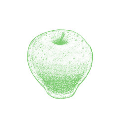 Isolated Apple on White Background in Hand Drawn Style
