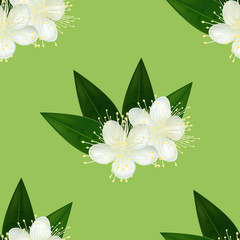 Light Pattern with Myrtle Flowers and Leaves in Realistic Style