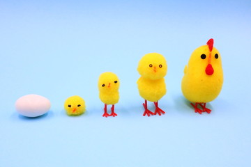 Easter Composition with Funny Chicks