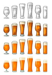 Different types beer glasses. Vintage color engraving
