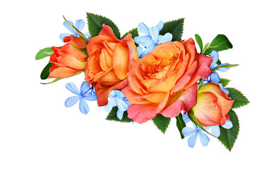 Orange roses and blue small flowers  in a corner floral arrangement