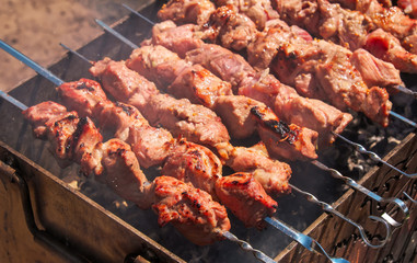 Shish kebab is baked over a fire with smoke. Camping and delicious food