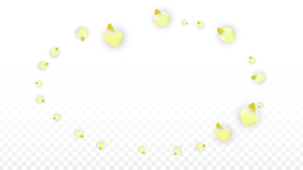 Vector Realistic Pink Petals Falling on Transparent Background.  Spring Romantic Flowers Illustration. Flying Petals. Sakura Spa Design. Blossom Confetti.