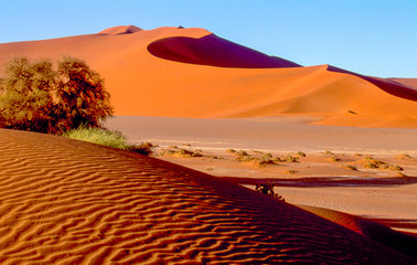 Fototapeta na wymiar famous beautiful red dunes in Namibia