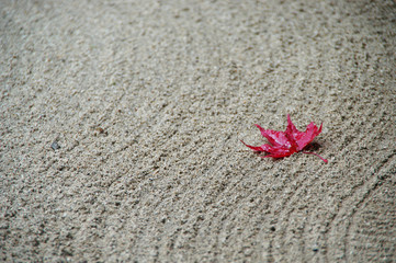 枯山水の中の紅葉