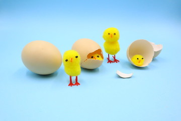 Easter Composition with Funny Chicks