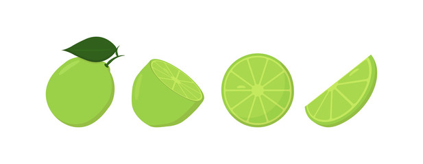 Fresh lime fruits, in different condition, vector