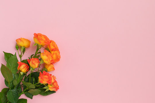 Background of a bouquet of beautiful fresh vivid orange roses tinged with red for celebrating an anniversary, birthday or Mothers Day
