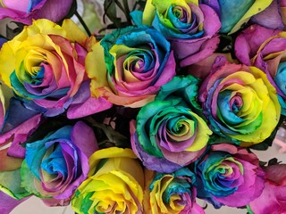 Fototapeta na wymiar Colorful bouquet of rose flowers