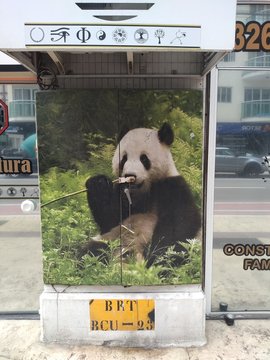 Famous pando