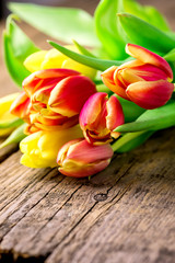 Tulips on Wooden Background for Holidays Blooming Tulips Spring Background or Card Vertical