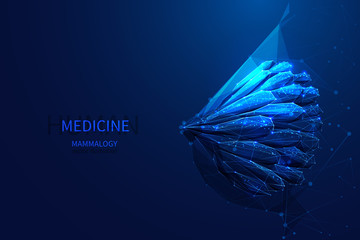 mammalogy low poly blue