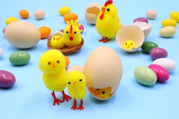 Easter Composition with Funny Chicks