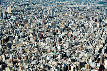 Tokyo high dense houses and buildings