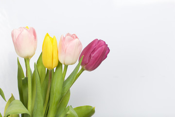 Spring flowers. A bouquet of tulips of different colors on a white background.