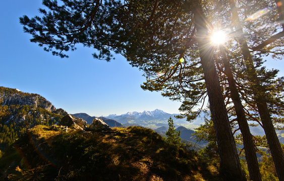mountain forest at national park kalkalpen, windischgarsten, upper austria