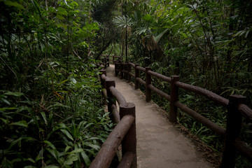 Fototapeta premium Emerald Pool, Yosemite National Park, Krabi, Thailand, Wooden path trough jungle forest