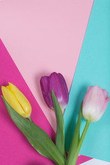 Spring flowers. A bouquet of tulips of different colors on a colorful background.