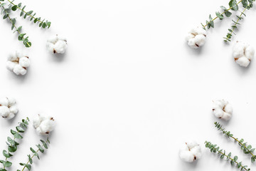 Composition with eucalyptus branches and cotton flowers on white background top view, flat lay space for text