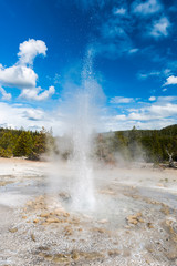 Vixen Geyser