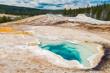 Black Pool