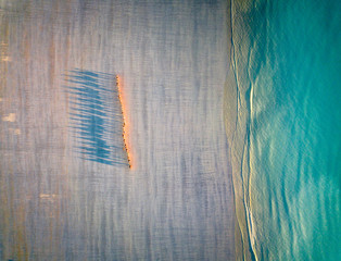 camels in Broome