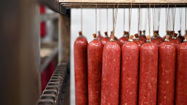 meat factory sausage
