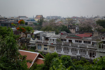 Fototapeta premium The view of Bangkok city during daylight from Golden mountain temple top.