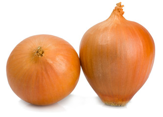 Onions isolated on white background