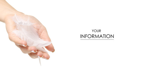 White feather in the female hand beauty care skin pattern on a white background isolation