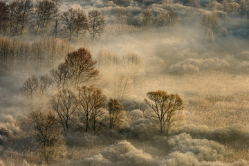 veduta panoramica con nebbia