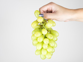 Close-up bunch  of fresh green grapes