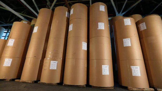 Flizelin in the warehouse of the factory, Rolls of non-woven paper are in a row in the warehouse. Rolls of non-liner paper in stock