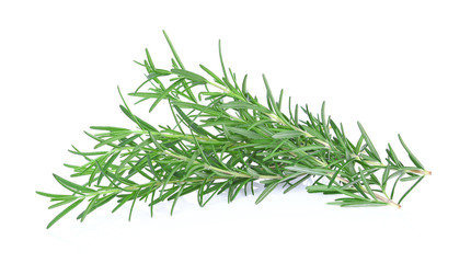 Fresh Rosemary isolated on white background