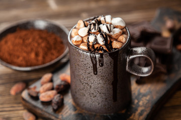 Cup of hot chocolate with marshmallows