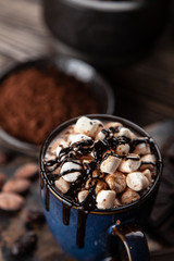 Cup of hot chocolate with marshmallows