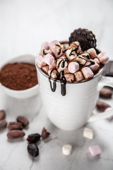 Cup of hot chocolate with marshmallows