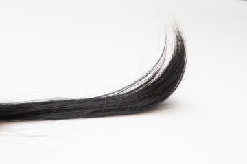 strand of hair on a white background