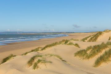 Fototapeta na wymiar Camber Sands beach East Sussex UK a beautiful sandy beach near Rye and Hastings 