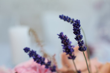 Macro purple spike fresh flower. wedding fresh flowers decoration