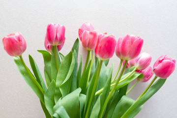 bouquet of tulips