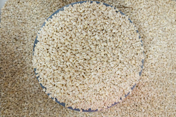 barley grain