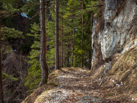 Bavarian Mountain Trail for Hikers